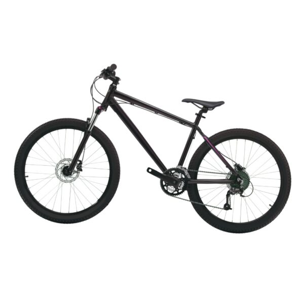 Bike 1